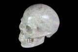 Realistic, Polished Fossil Coral Skull #116574-1